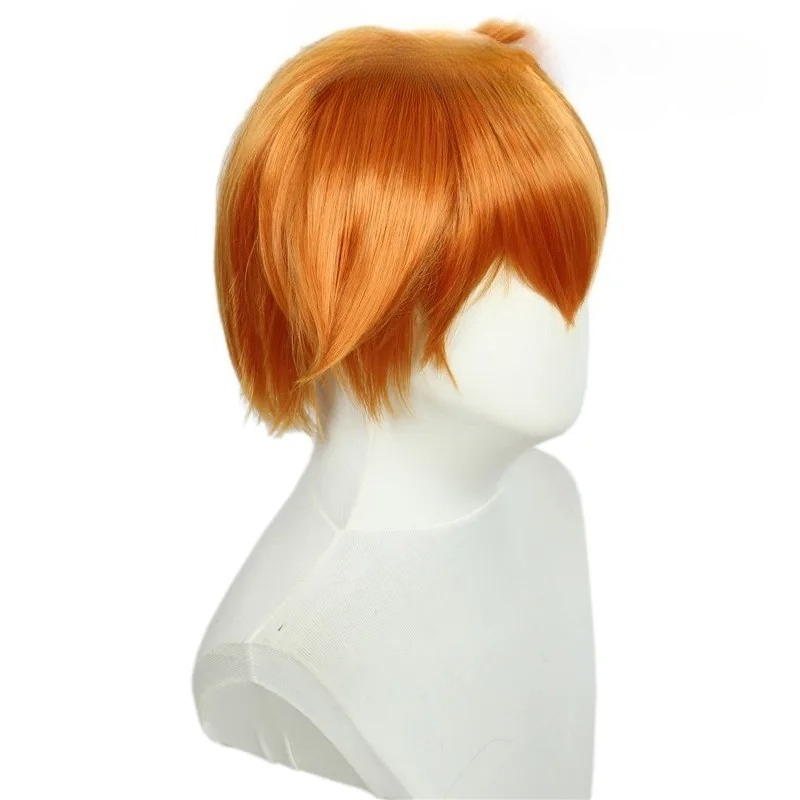 Anime Pocket Monster Misty Cos - Anime Cosplay Orange Hair recensie en prijs