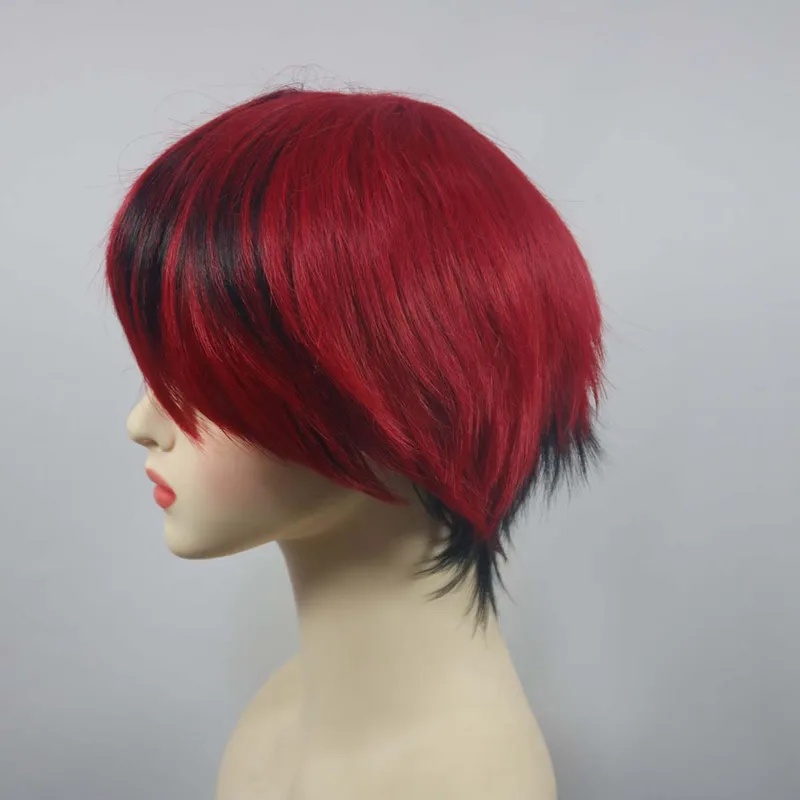 Le Cool 2026 kwaliteitsproduct - Anime Cosplay Red Hair recensie en prijs