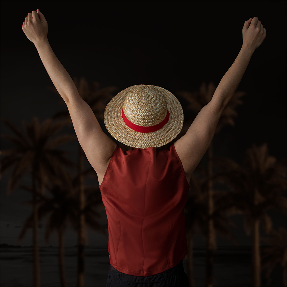 Officieel gelicentieerde Luffy - Anime Cosplay Netflix recensie en prijs